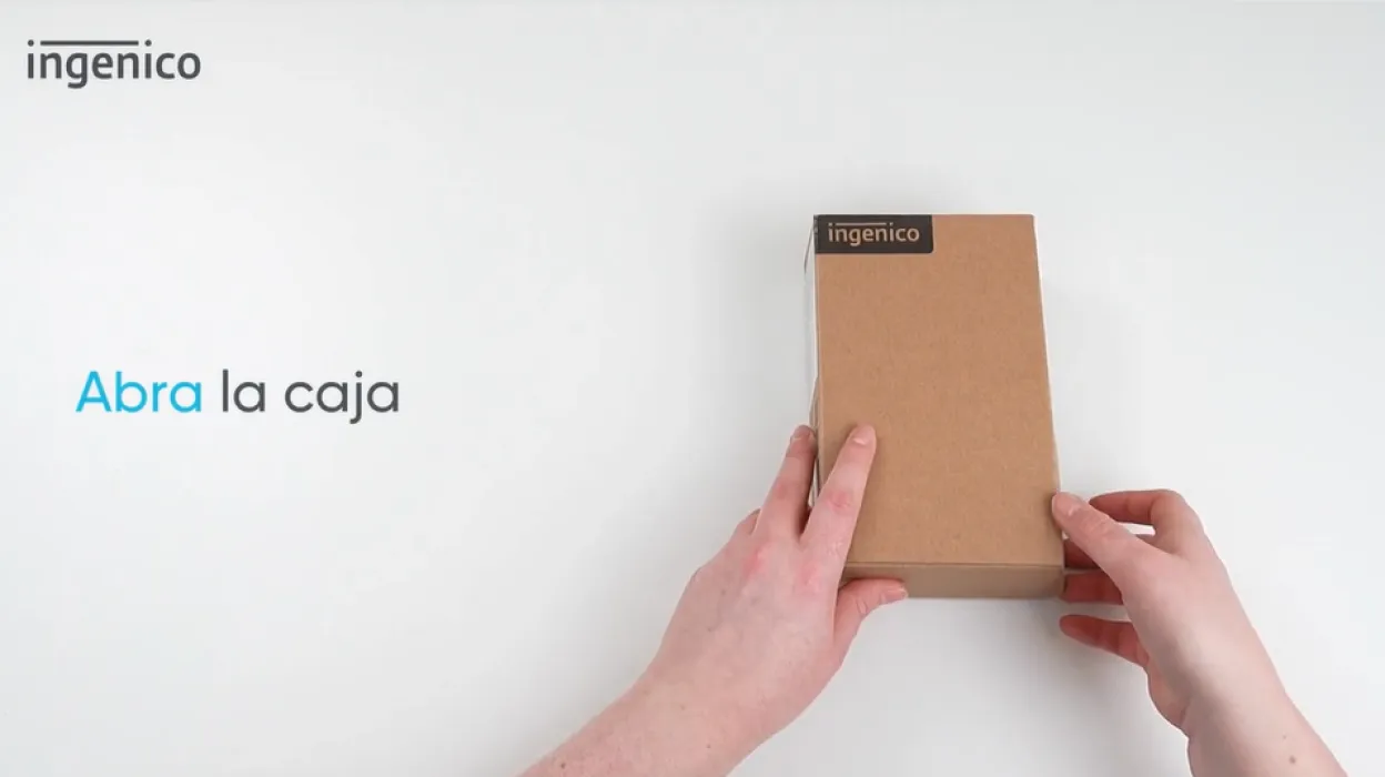 Ingenico AXIUM EX6000 Unboxing